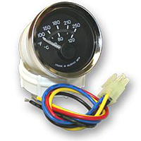 EG21T-250 24 Electric Temperature Gage