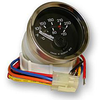 EGS21T-250 24 Electric Temperature Swichgage